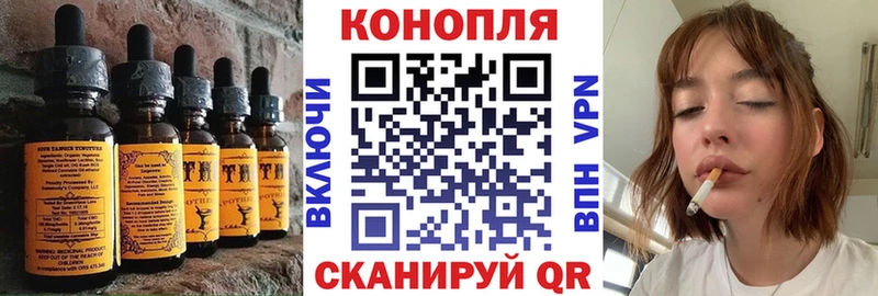 Cannafood конопля Купить закладки Малгобек