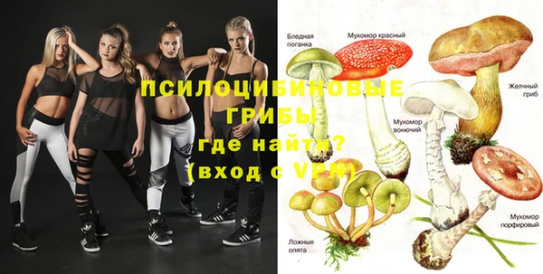 дживик Арсеньев