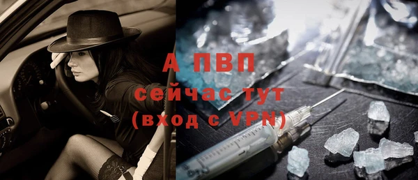 сатива Армянск
